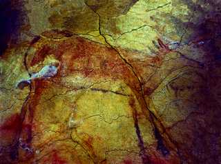 Tierbild in der Höhle von Altamira