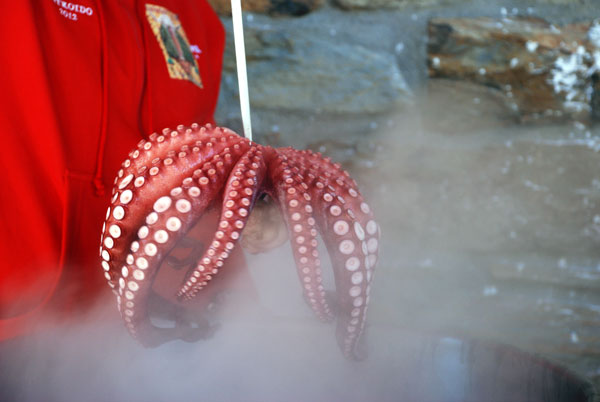 Pulpo beim Fest in Laza