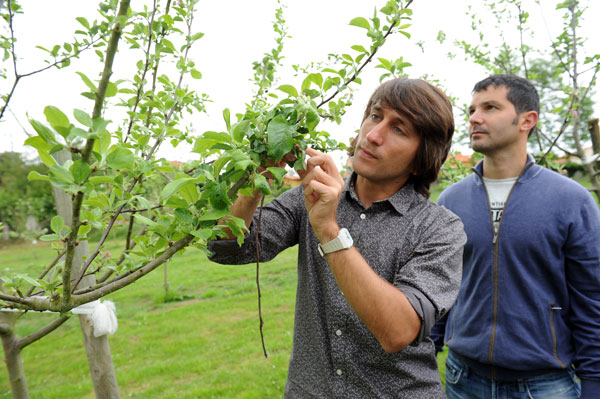 Zwei junge Apfelweinbauern in Asturien