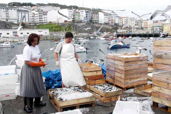 Fischerinnen in Galicien mit Sardinenkisten