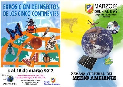 Plakate zur Insektensausstellung und Umwelt-Kulturwoche