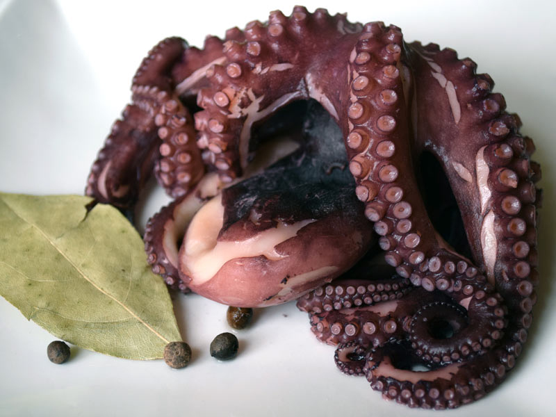 Gekochter Pulpo mit einem Lorbeerblatt