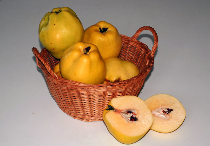Frische Quitten im Korb