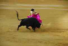 Stierkampf in Andalusien: Torero gegen Stier
