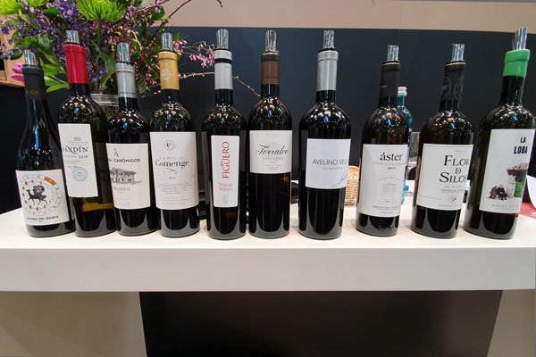 Weine der Ribera del Duero