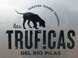 Tr&uuml;ffelhandel im Arag&oacute;n