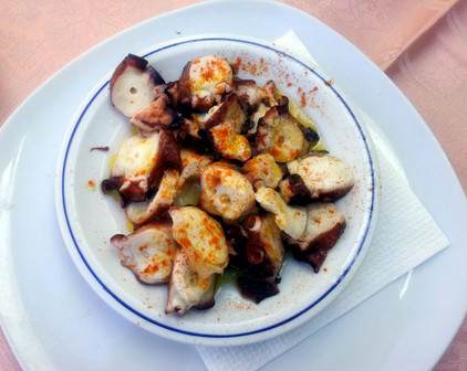 Seekrake aus Nordspanien