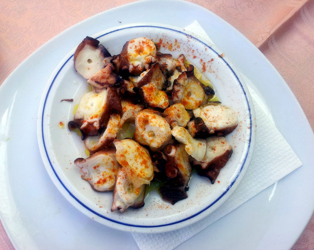 Pulpo