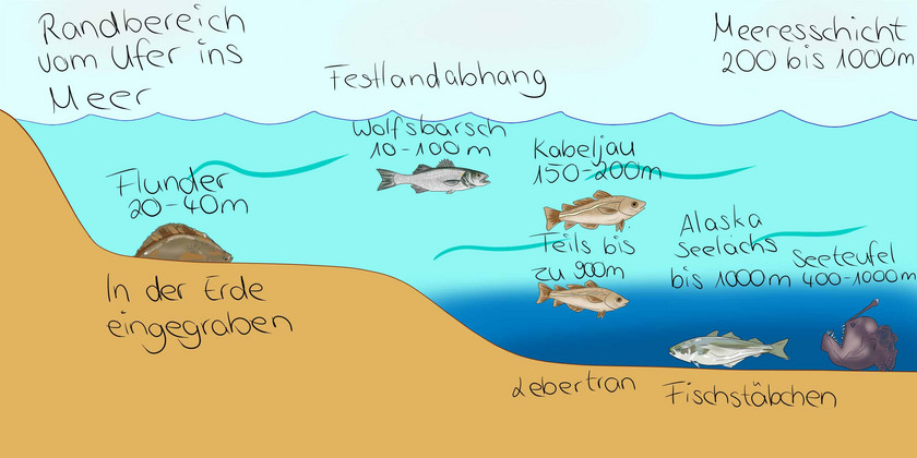 Graphik: Ozeanfische Fische im Ozean
