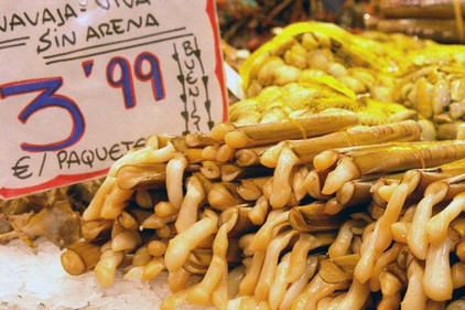 Schwertmuscheln und Preis aus Spanien