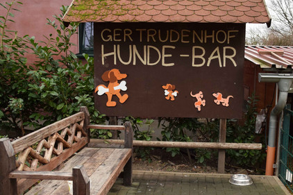Hundeparadies in K&ouml;ln