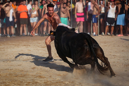 Bous a la Mar in Dénia Denias Stierfest Bous a la Mar
