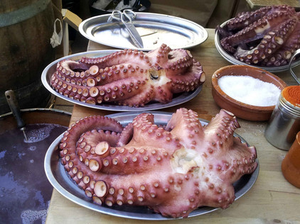 Pulpo aus Galicien