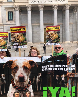 Tierschutz: Demo in Madrid