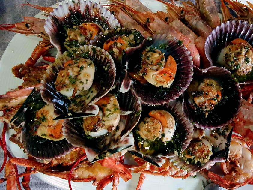 Jakobsmuscheln aus Spanien