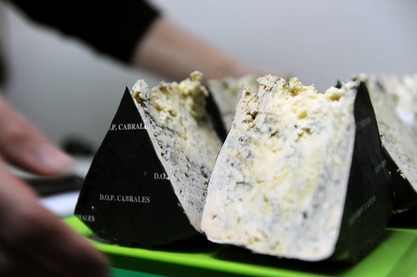 Cabrales-Käse mit Hersteller in Spanien