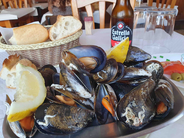 Miesmuscheln