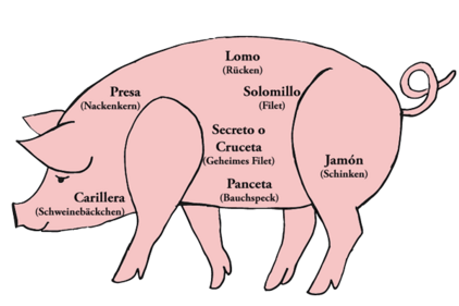 Ibericoschwein und seine besten St&uuml;cke