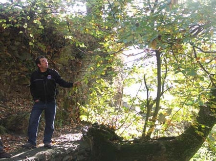 Spaziergang im Naturpark