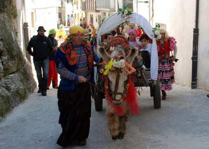 Esel geschmückt beim Fest in Spanien