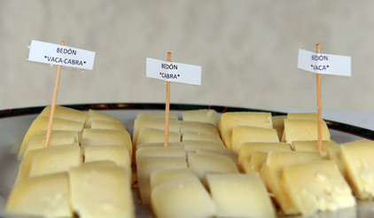 Käse aus Asturien