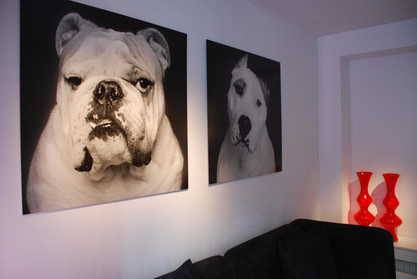 Hundmotive in der Lobby eines Hotels