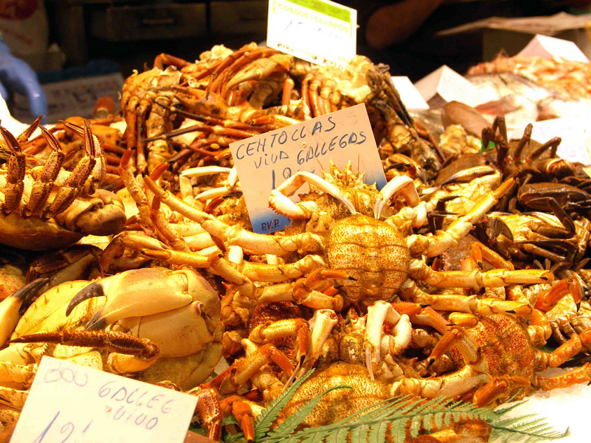 Meeresfr&uuml;chte in Spanien