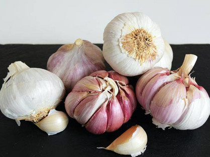 Spanischer Knoblauch. Foto Tobias Büscher ajo blanco