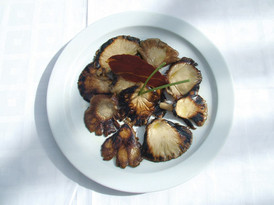 Pilze aus Spaniens Kernland