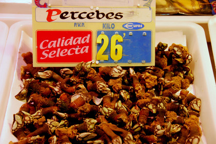 Percebes