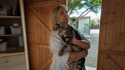 Tierschutz an der Costa Blanca