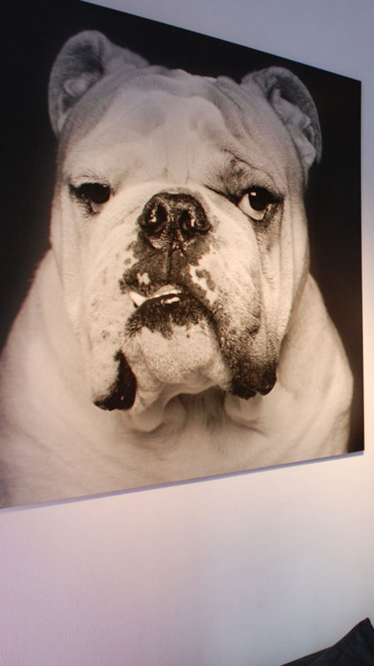 Lobby des Hotels Mateo in Madrid