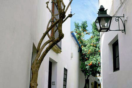 Gasse in C&oacute;rdoba