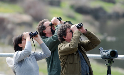 Vogelbeobachter in der Extremadura