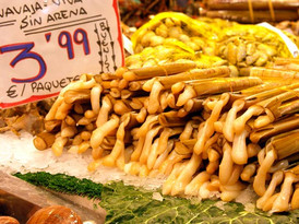 Schwertmuscheln vom Markt, tb