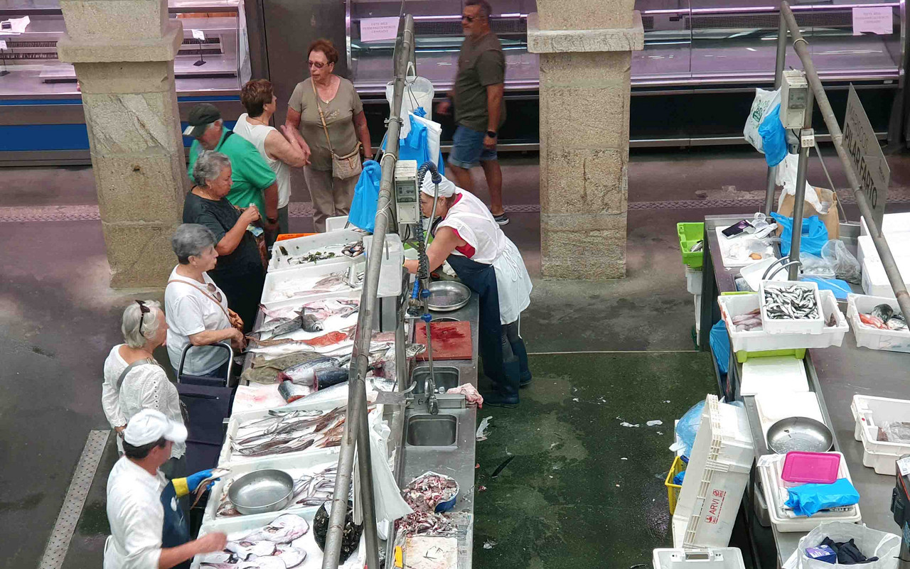 Fischverkauf in Galicien Fischhändler in Pontevedra