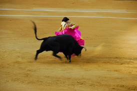 Torrero mit Stier in der Arena von Málaga