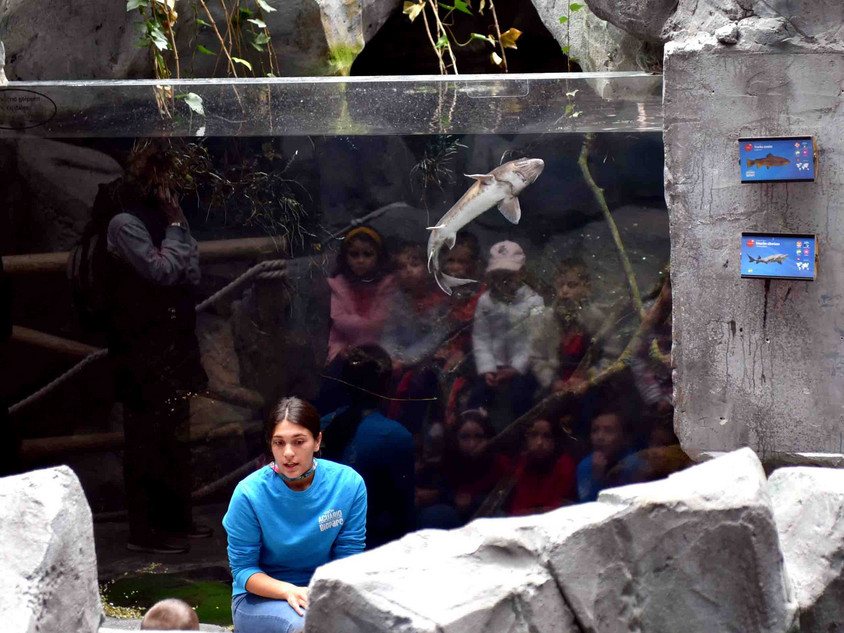 Asturiens Aquarium