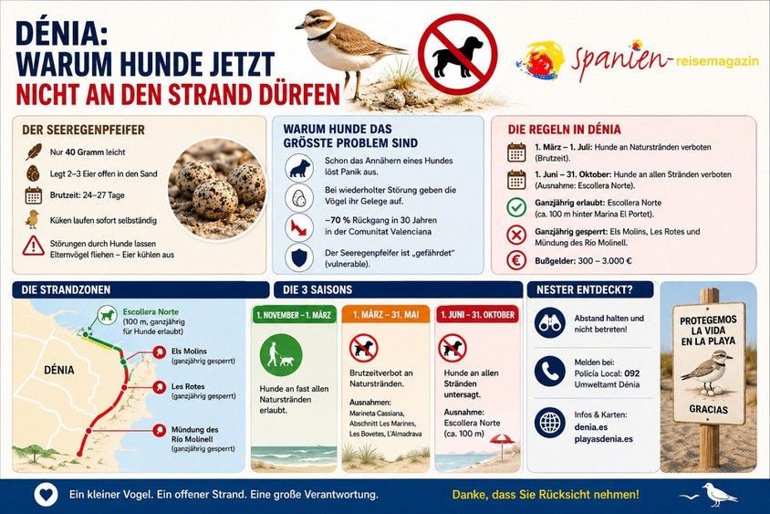 Graphik Alexander Gresbek Strandverbot für Hunde in Dénia