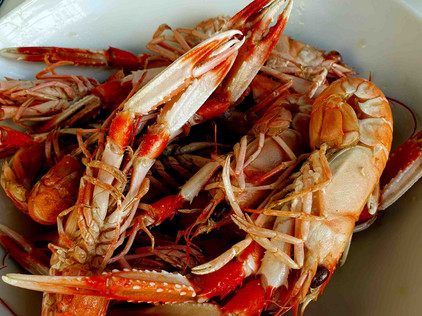 Spanischer Kaisergranat