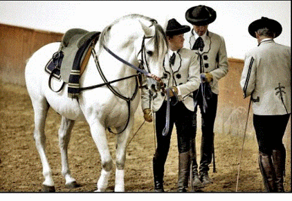 Reiter in Andalusien