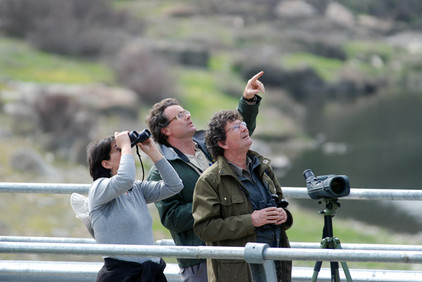Martin Kelsey (Mitte) gehört zu den berühmtesten Ornithologen in Spanien. Foto Tobias Büscher