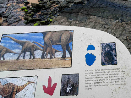 Schild zum Fund von Dinosaurierspuren