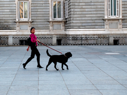 Gassi in Madrid