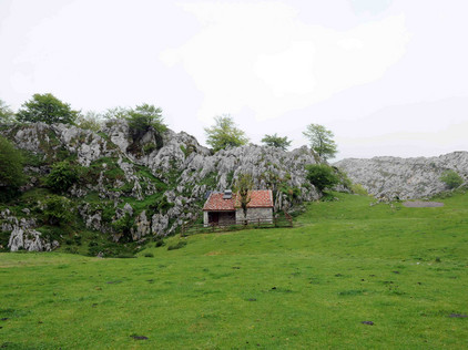 Picos de Europa