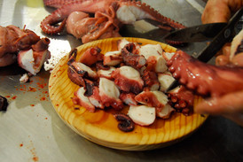 Seekrake namens Pulpo