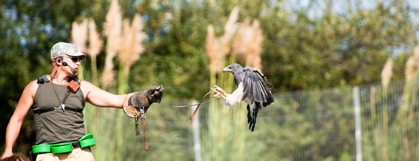Vogelschau im Cabárceno-Park