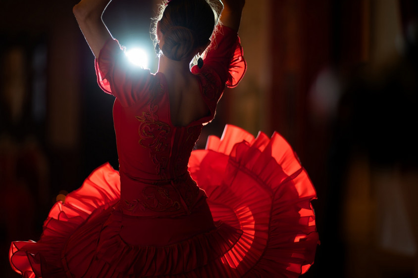 Flamenco. Foto Alexander Gresbek Flamenco in Andalusien