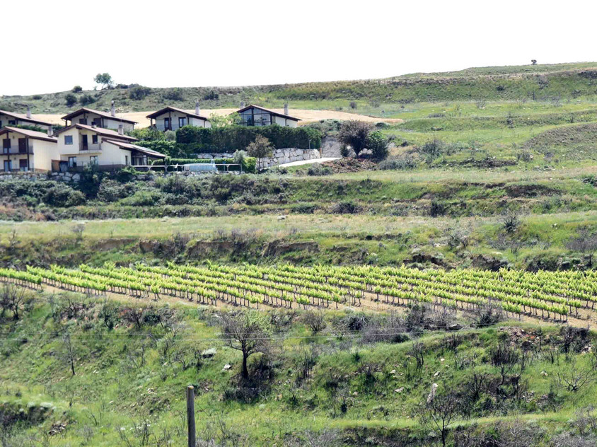 Wein aus Navarra