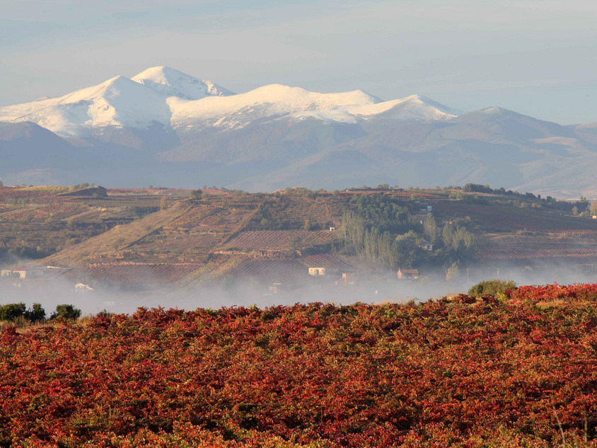 La Rioja